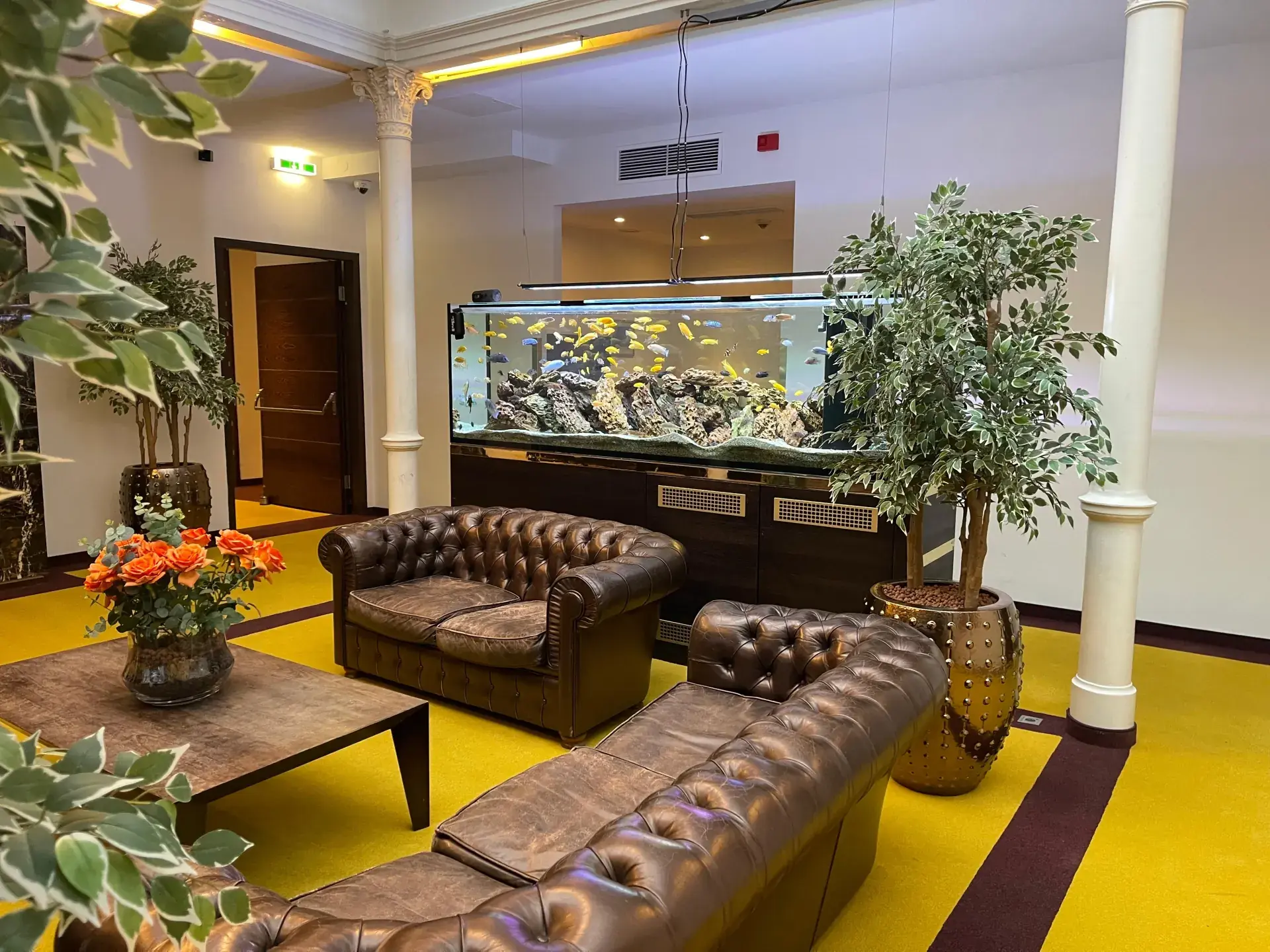 MyPlace Wien Lobby mit Chesterfield-Sofas und Aquarium